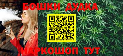 крисы Шахты