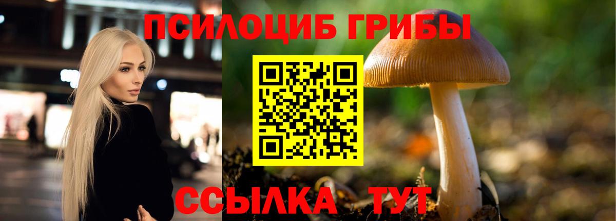 Псилоцибиновые грибы ЛСД Вольск